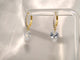 Chrystal Drop Huggie Hoops