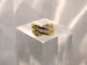 Ann Marie Gold plated Ear Cuff